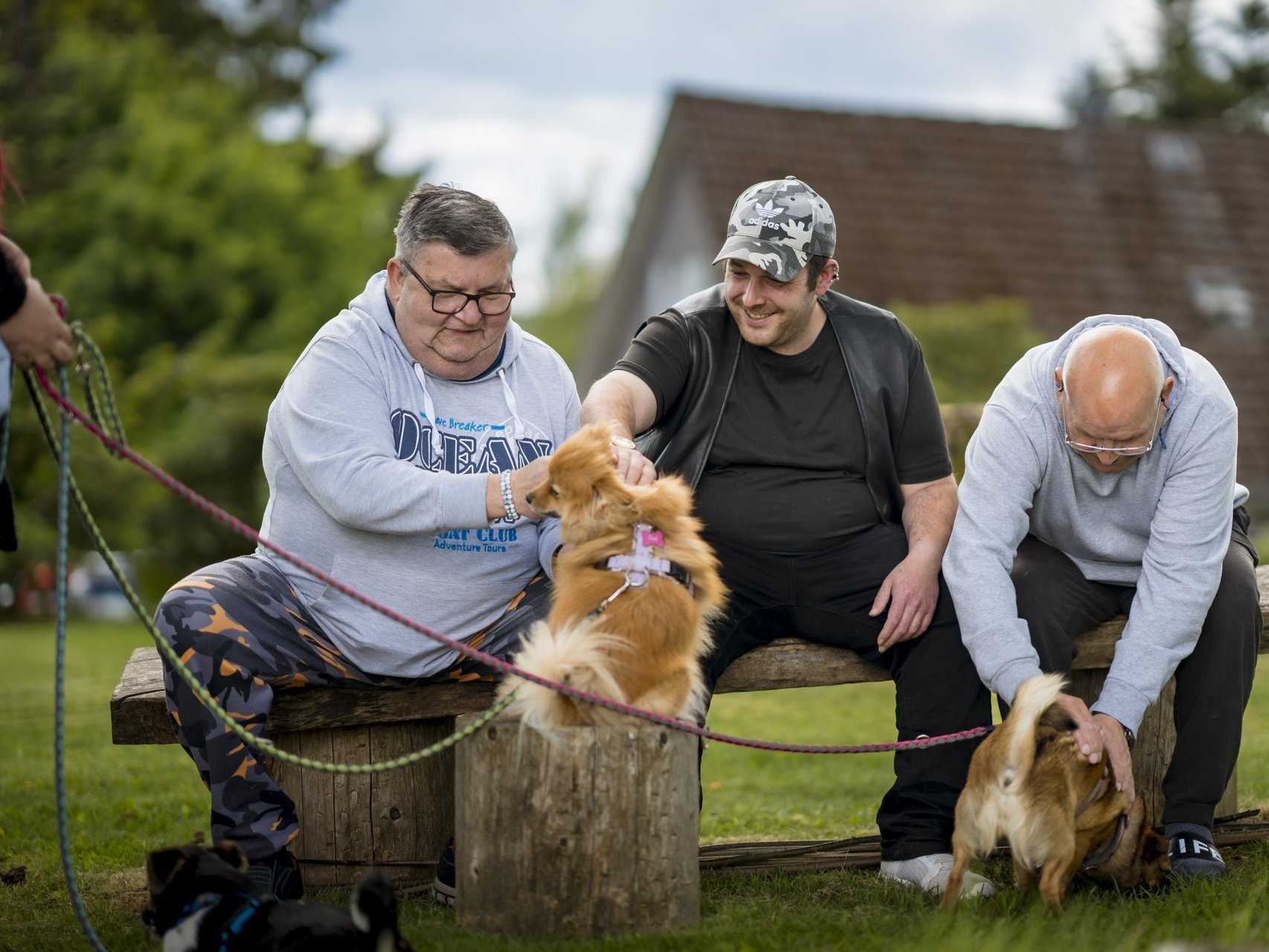 Drei Männer sitzen auf einer Holzbank und spielen mit zwei Hunden.