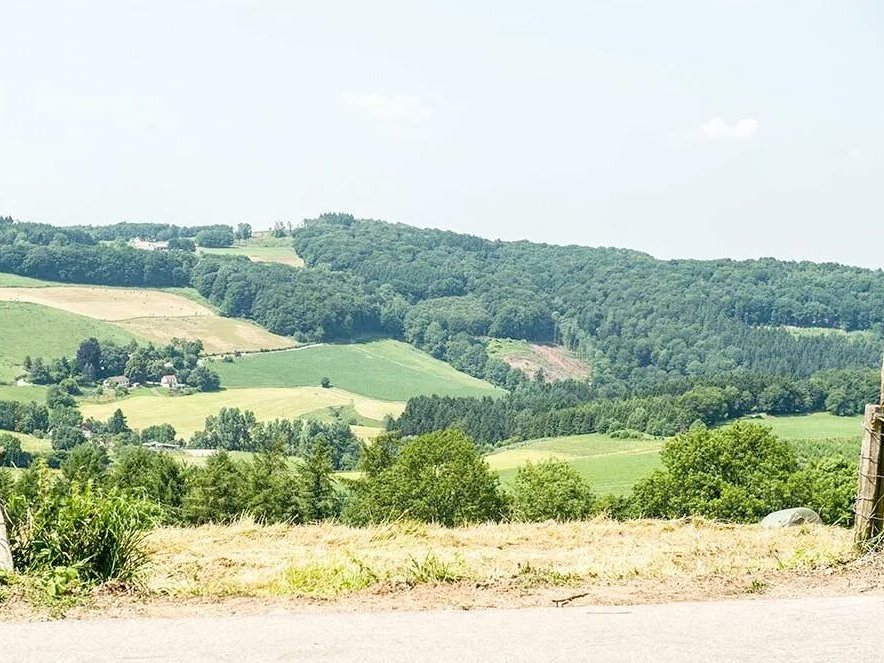 Landschaftsaufnahme: grüne Wiesen und Wälder
